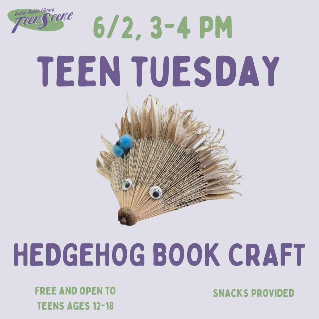Teen Tuesday: Hedgehog Book Craft on June 2 from 3 - 4 PM.
