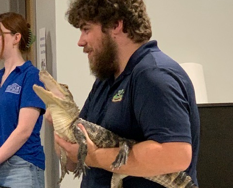 Colby of Wildlife Encounters holding an alligator in the Meeting Room of the library.