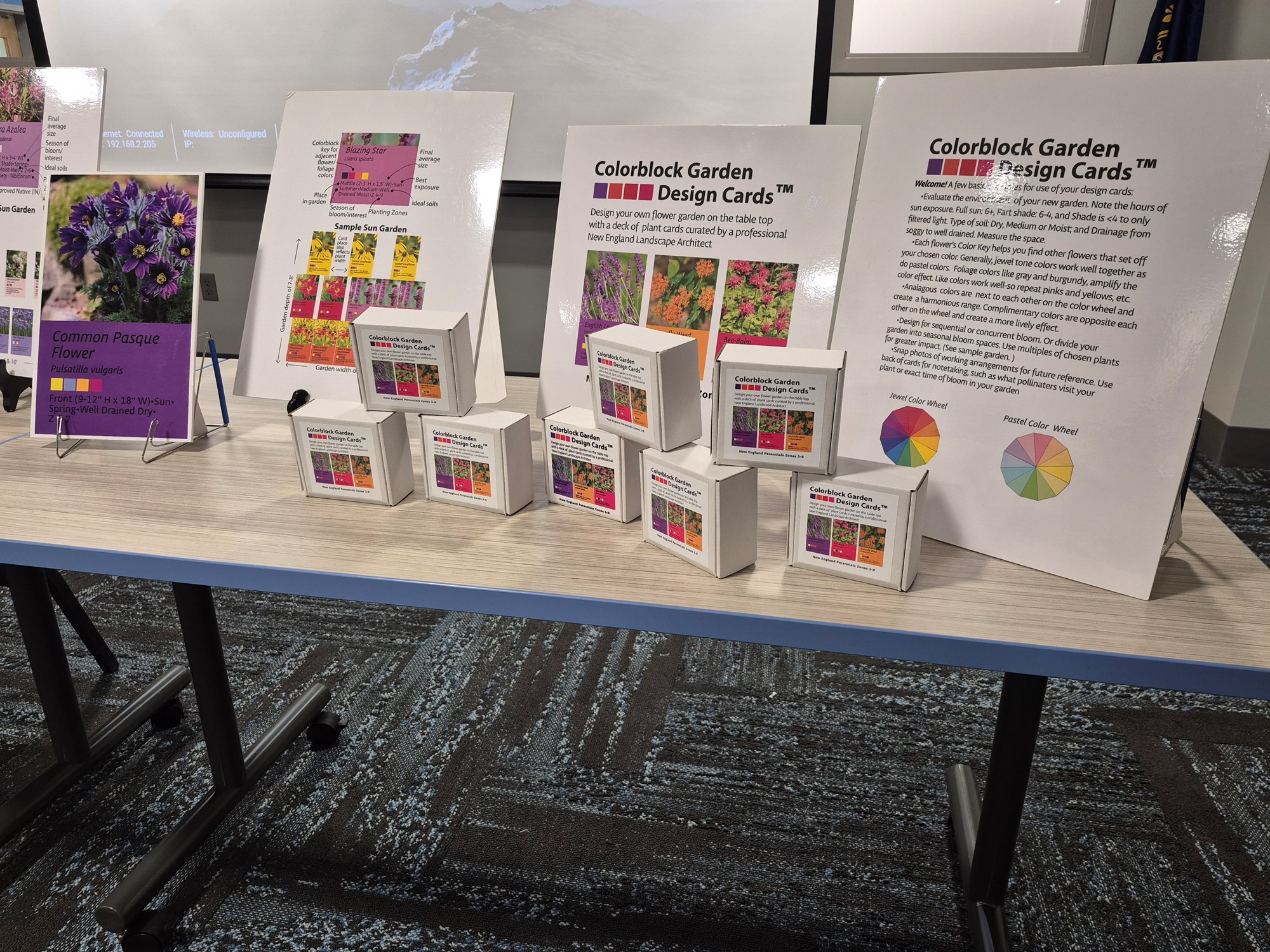 Elizabeth Dudley's color block cards on display on a table in the Meeting Room of the library.