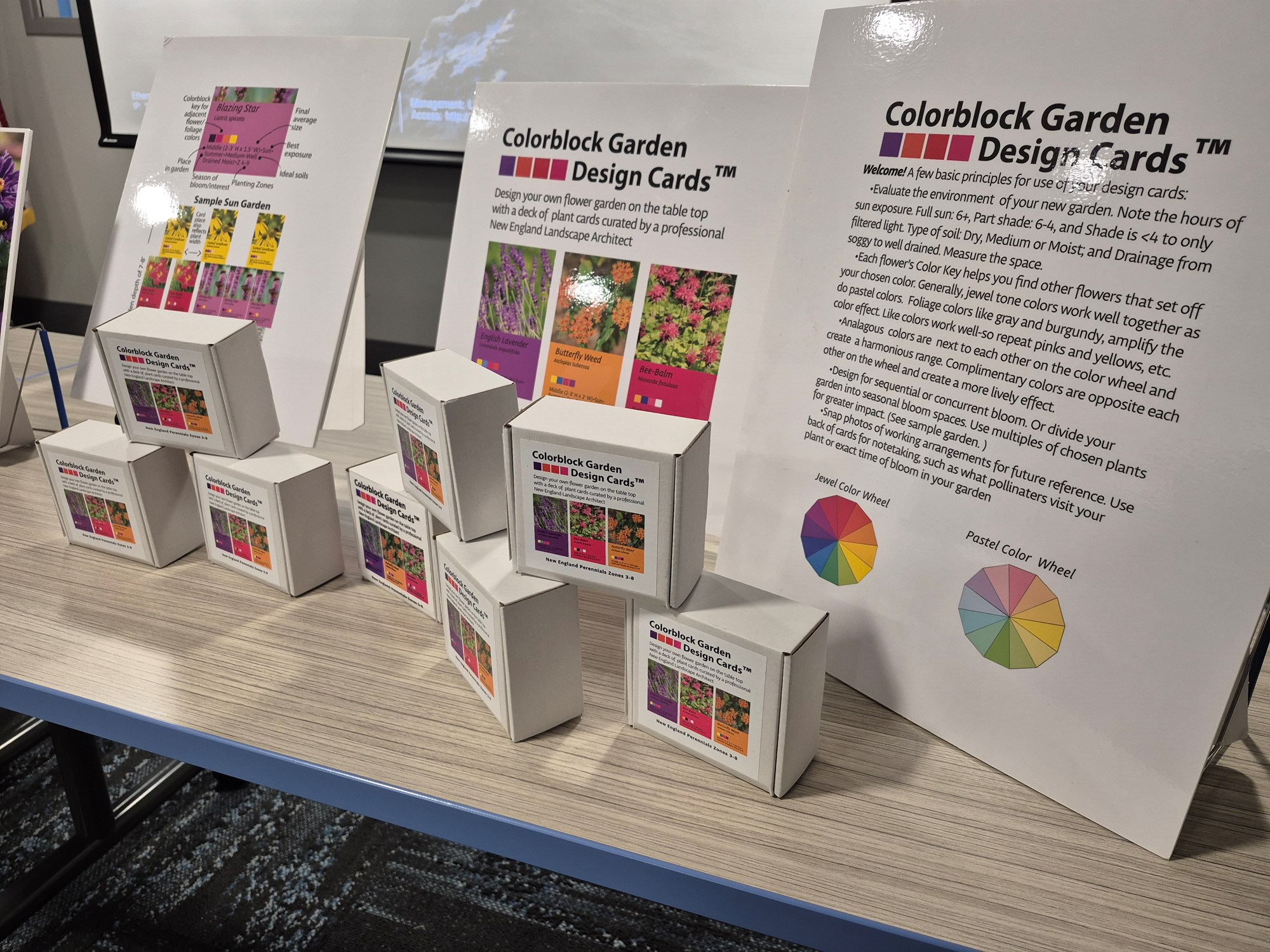 Elizabeth Dudley's color block cards on display on a table in the Meeting Room of the library.