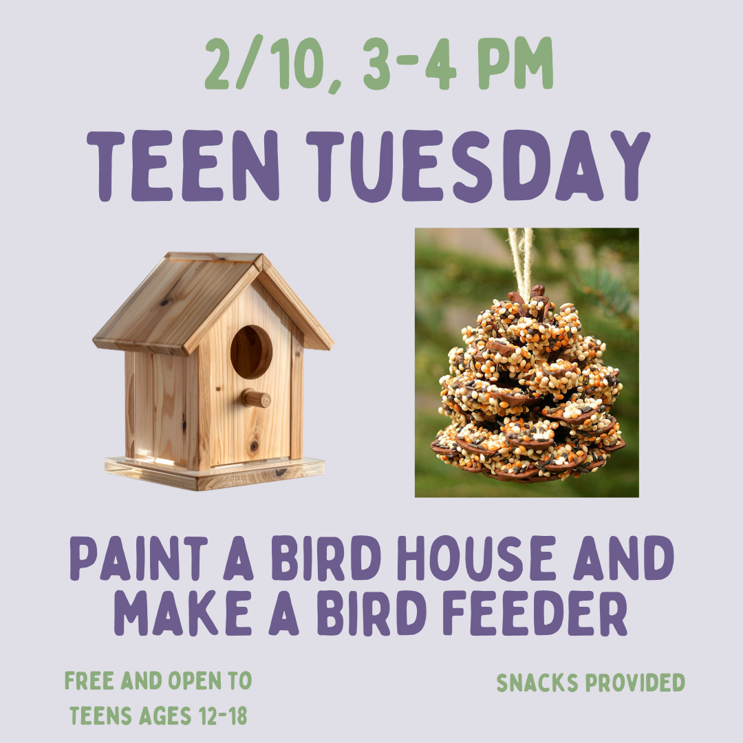 Teen Tuesday: Paint a Bird House and Make a Bird Feeder on Tuesday, February 10 at 3 PM.