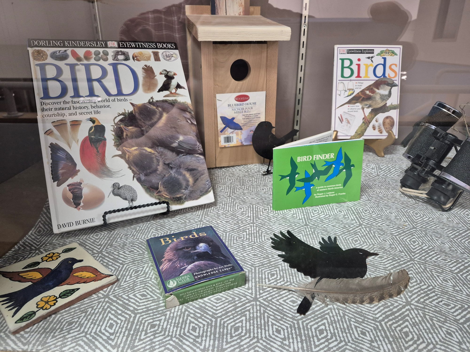 Display featuring books about birds, a birdhouse, bird species guides, and more in the Mezzanine display case at the library.