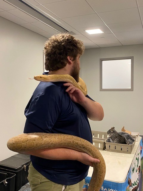 Colby from Wildlife Encounters holding a snake in the Meeting Room of the library.