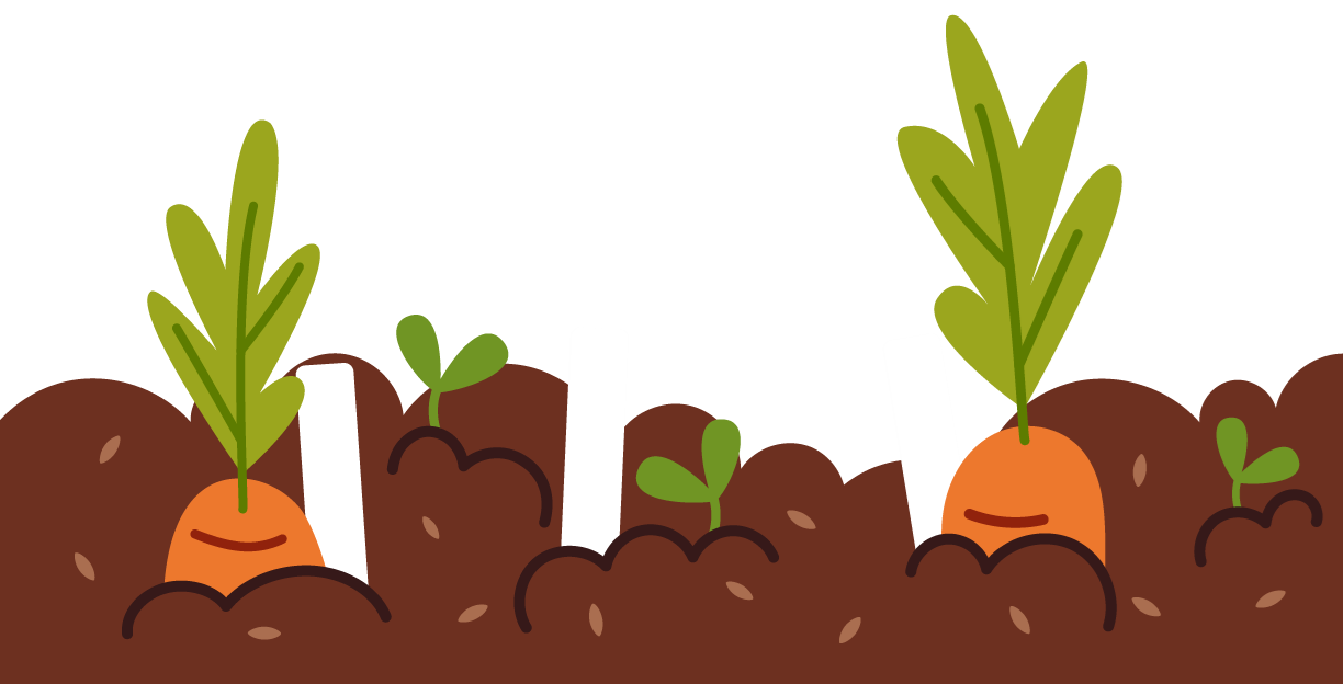 Garden Dirt with Carrots and Plant Sprouts