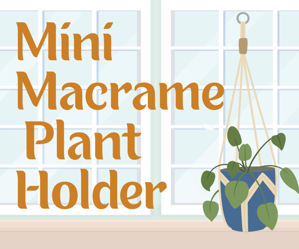 macrame plant holder