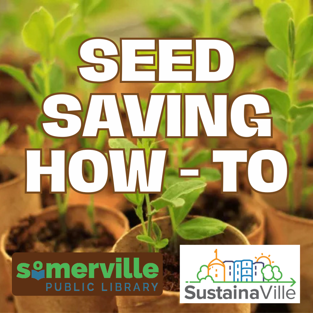 Transcript: Wing masters: New England Birds of Prey.