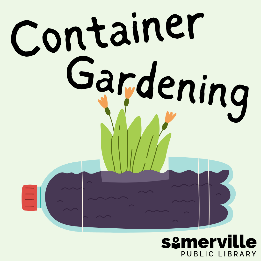 Transcript: Container gardening.