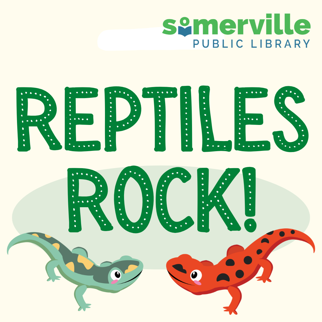 Transcript: Wing masters: New England Birds of Prey.