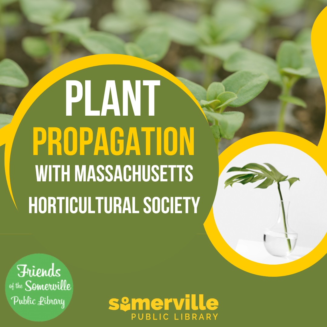 Transcript: Plant propagation with Massachusetts Horticultural Society.