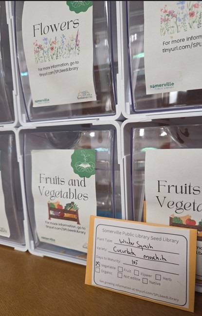 A photo of the library's seed library collection. Includes link more information on our website (opens in new tab).