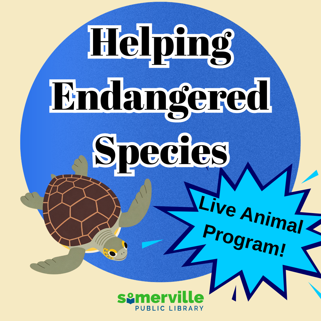 An illustration of a turtle, with text reading "Live animal program: helping endangered species." Includes link to a detailed calendar listing (opens in new tab).