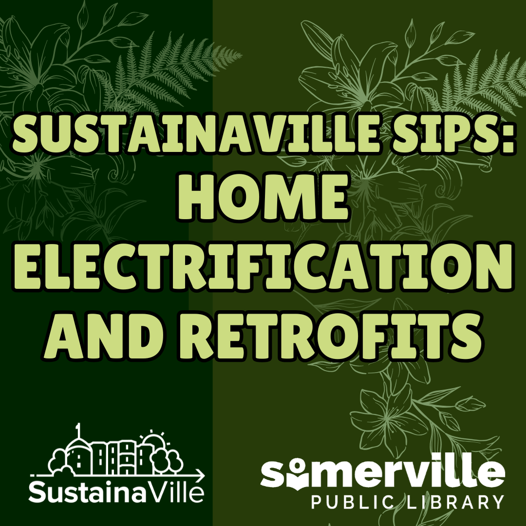 Transcript: Wing masters: New England Birds of Prey.