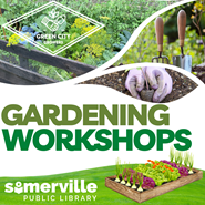 Transcript: Gardening workshops.