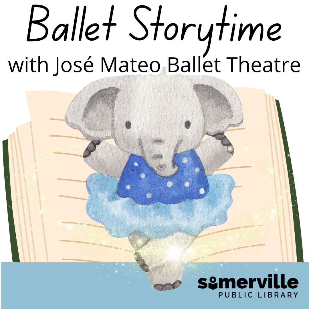 Transcript: Wing masters: New England Birds of Prey.