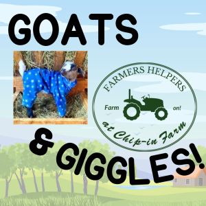 Transcript: Goats and Giggles.