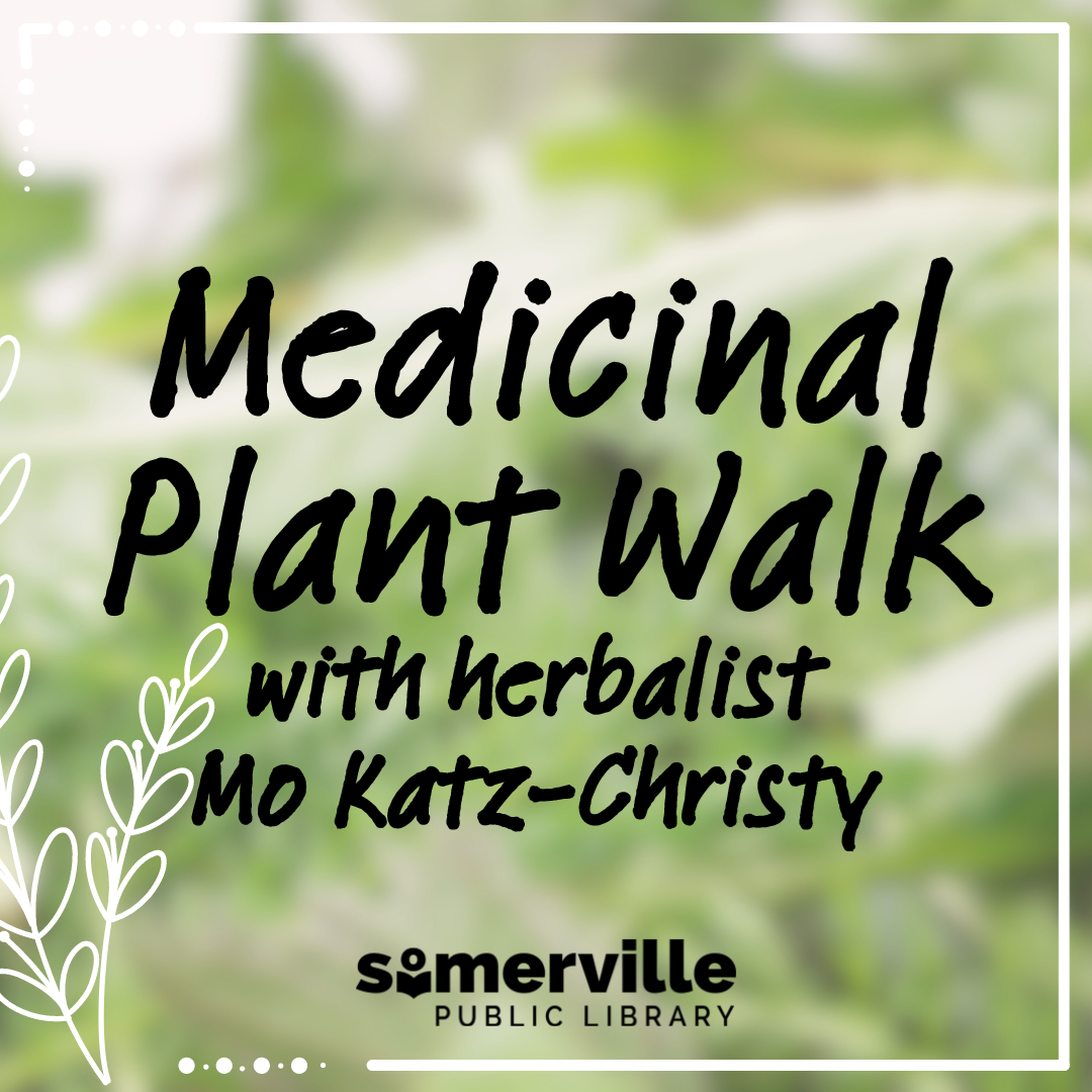 Transcript: Medicinal plant walk with herbalist Mo Katz-Christy.