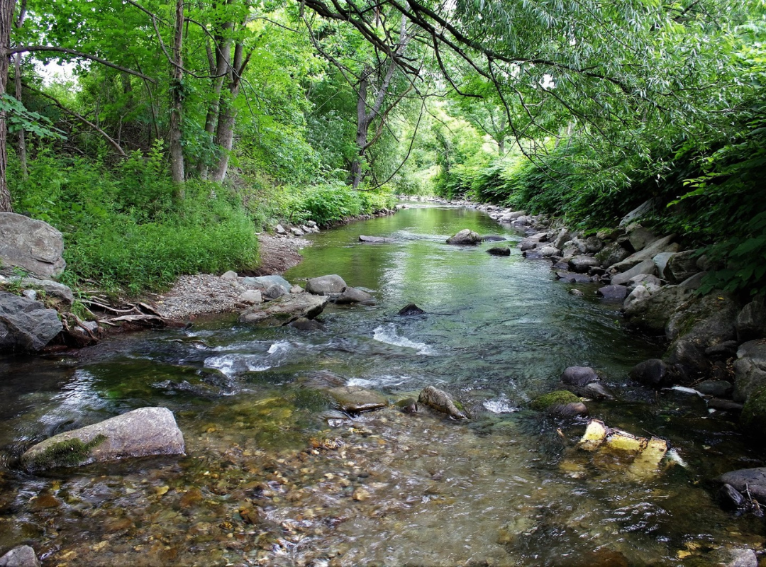 Photograph of various colored yarn stacked on top of one another