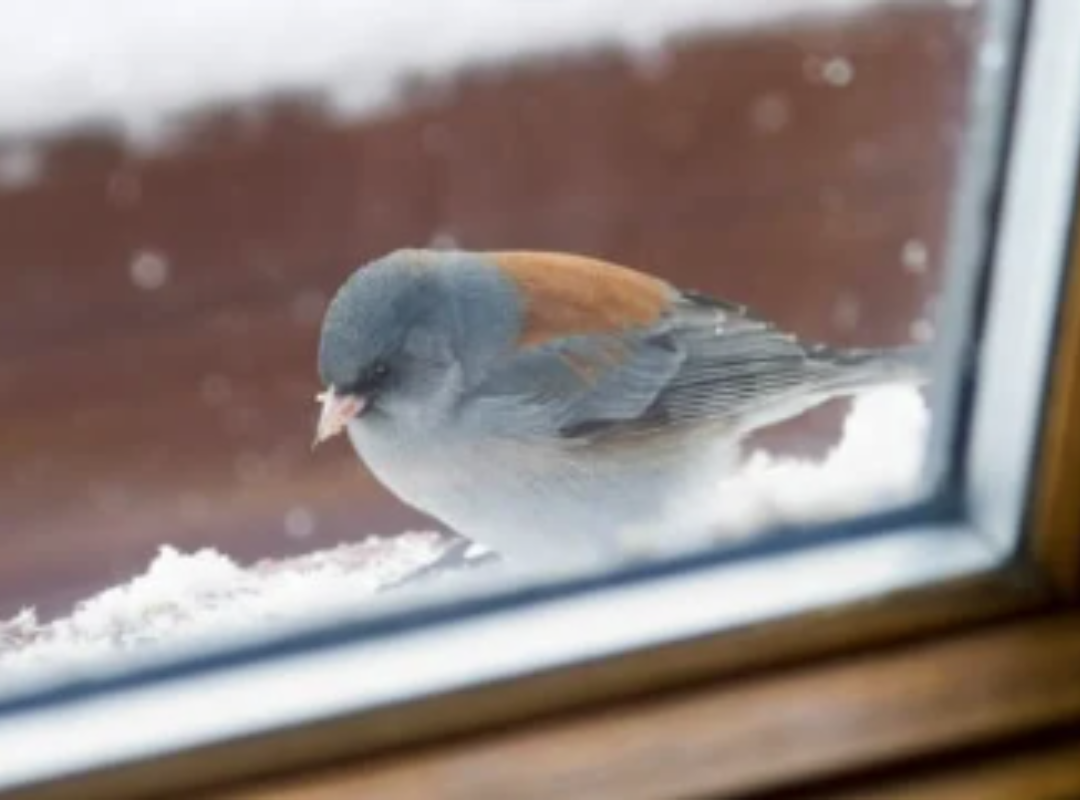 Photograph of various colored yarn stacked on top of one another