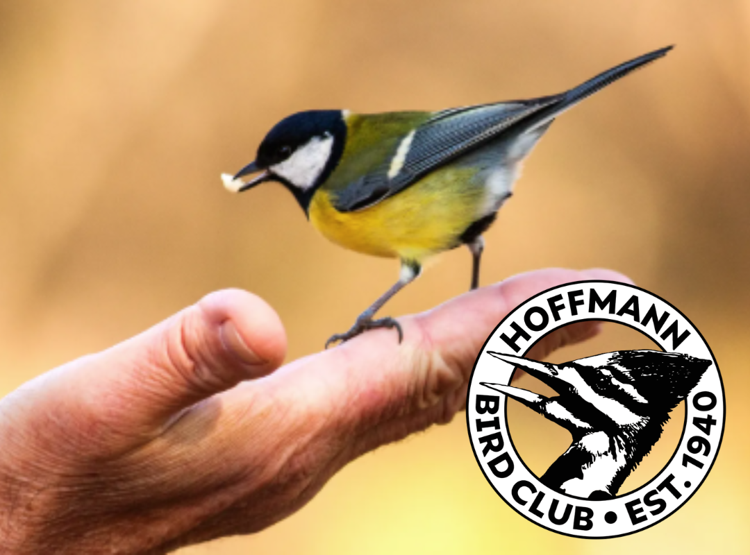 Photograph of Mahjong playing table