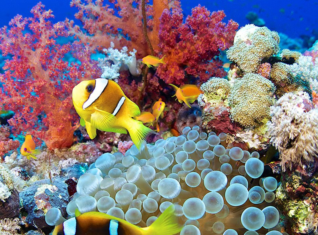 Photograph of Mahjong playing table