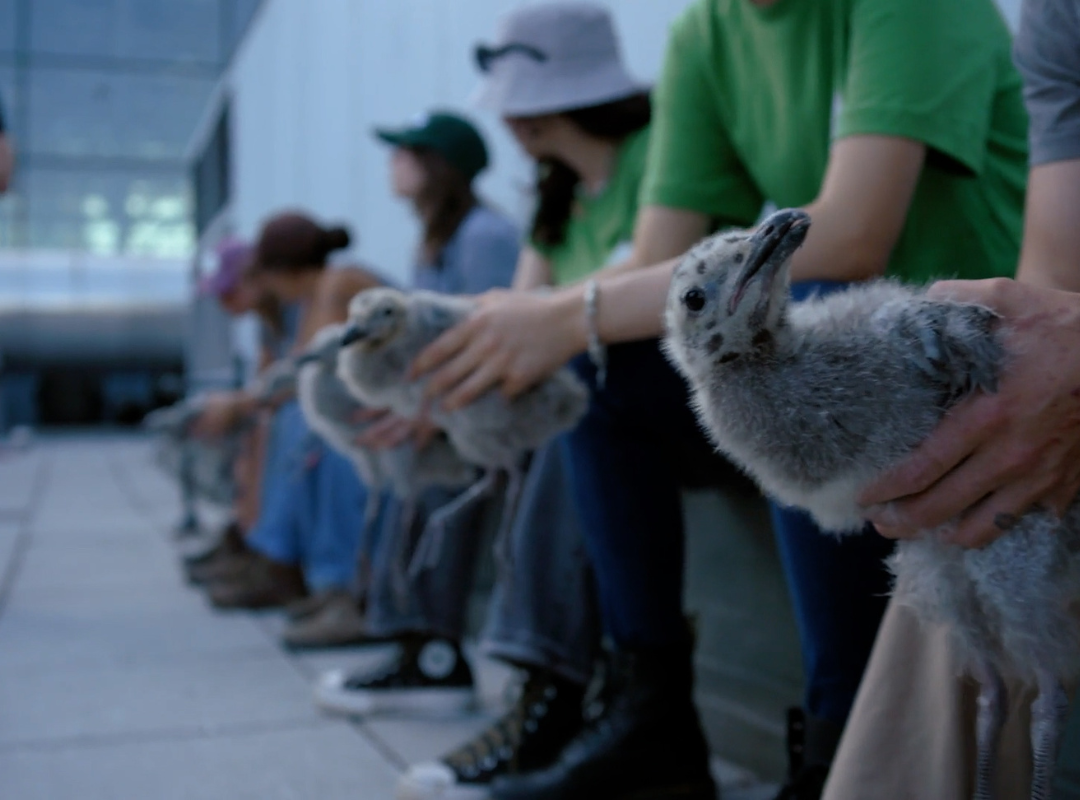 Photograph of Mahjong playing table