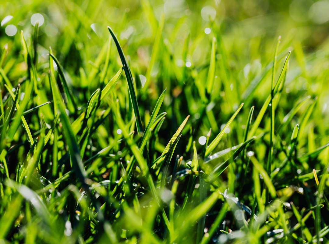 Photograph of Mahjong playing table