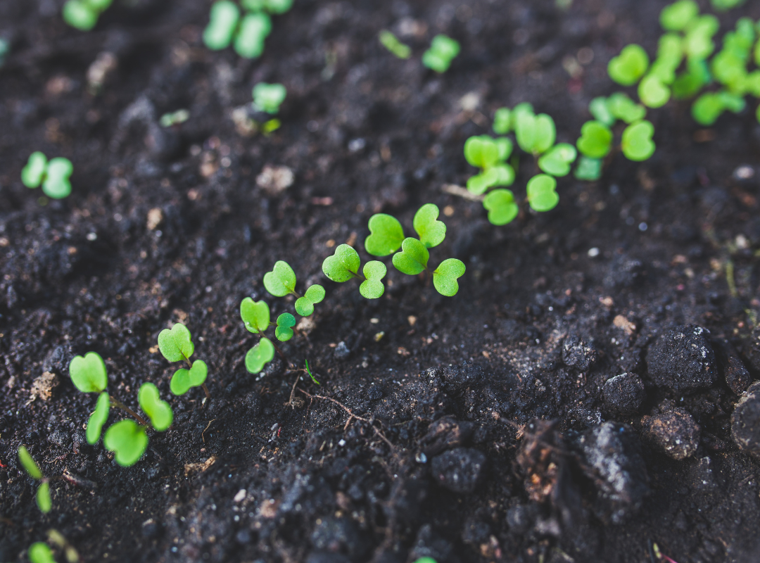 Photograph of various colored yarn stacked on top of one another