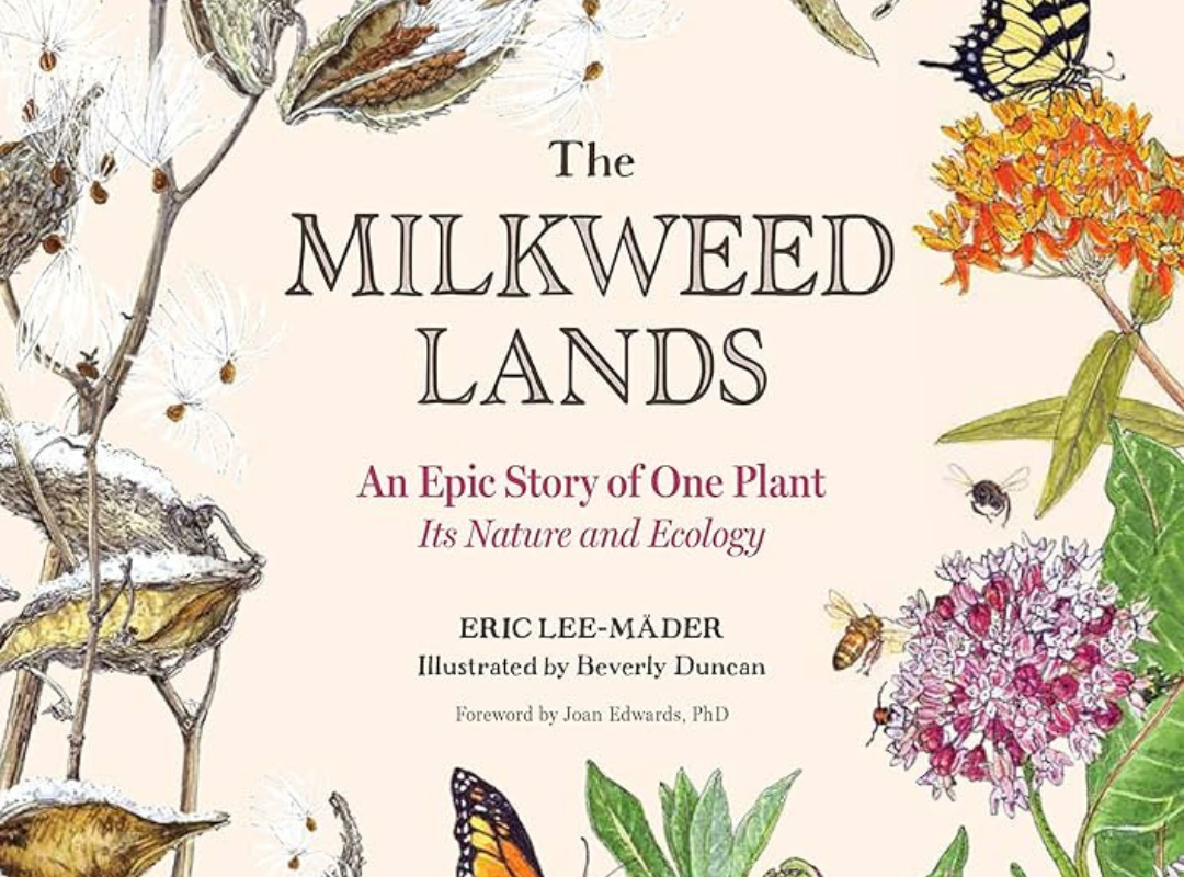 Photograph of Mahjong playing table