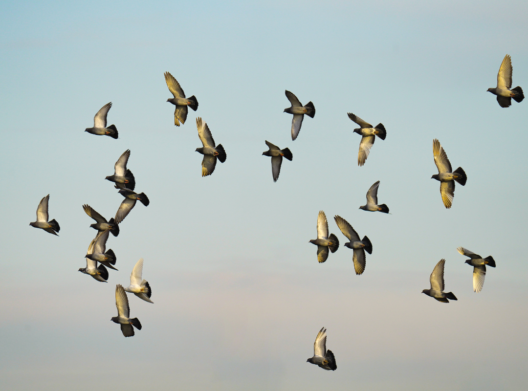 Photograph of Mahjong playing table