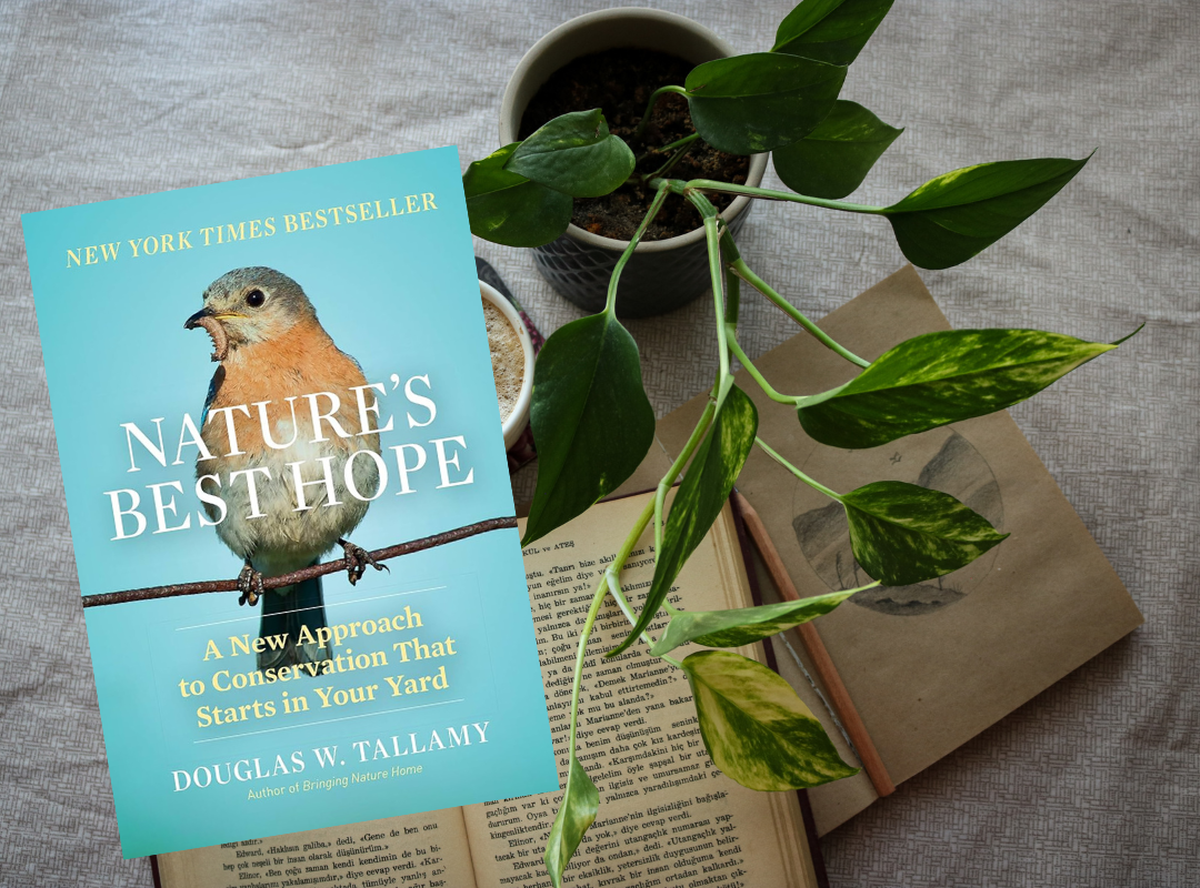 Photograph of various colored yarn stacked on top of one another