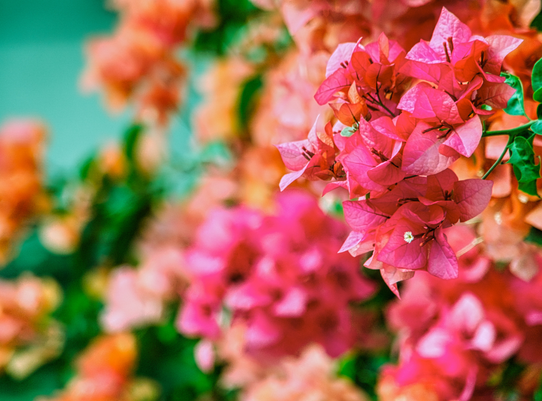 Photograph of Mahjong playing table