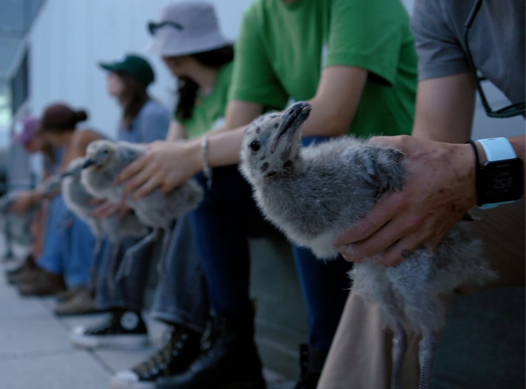 Photograph of various colored yarn stacked on top of one another