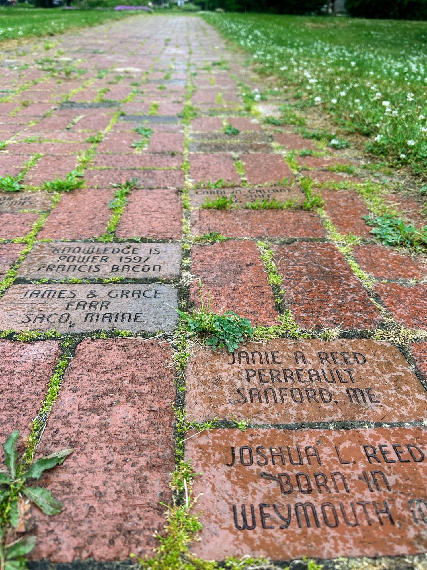 brick pathway with engraved words on bricks
