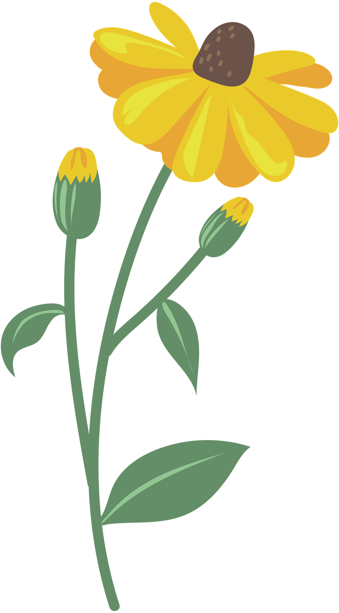 Icons - Daisy Flower - Yellow