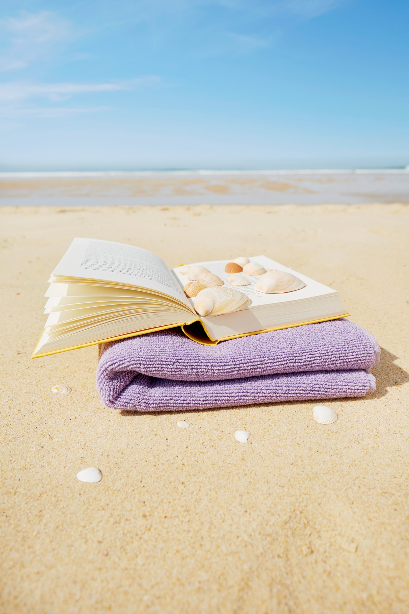 An Open Book With Towel And Shells By The Beach