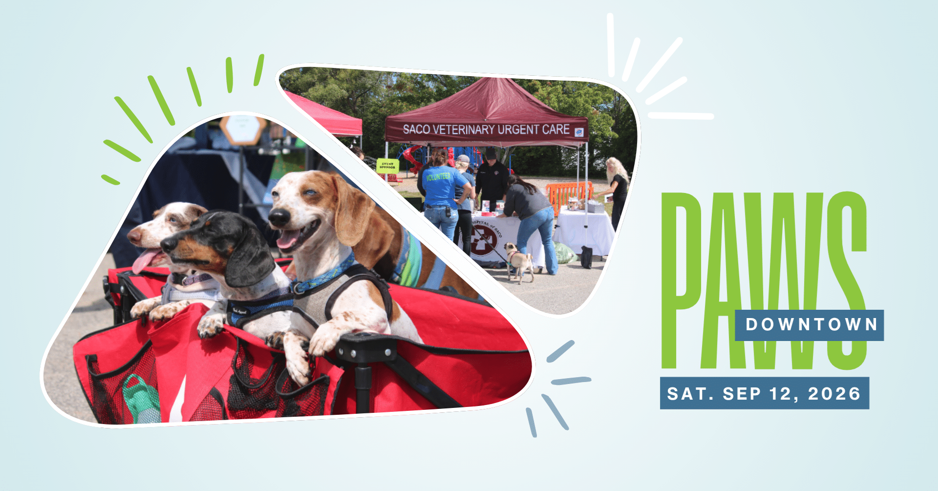 dogs in a wagon