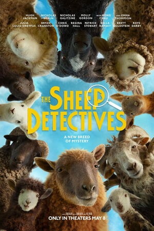 Sheep Detectives by Mgm