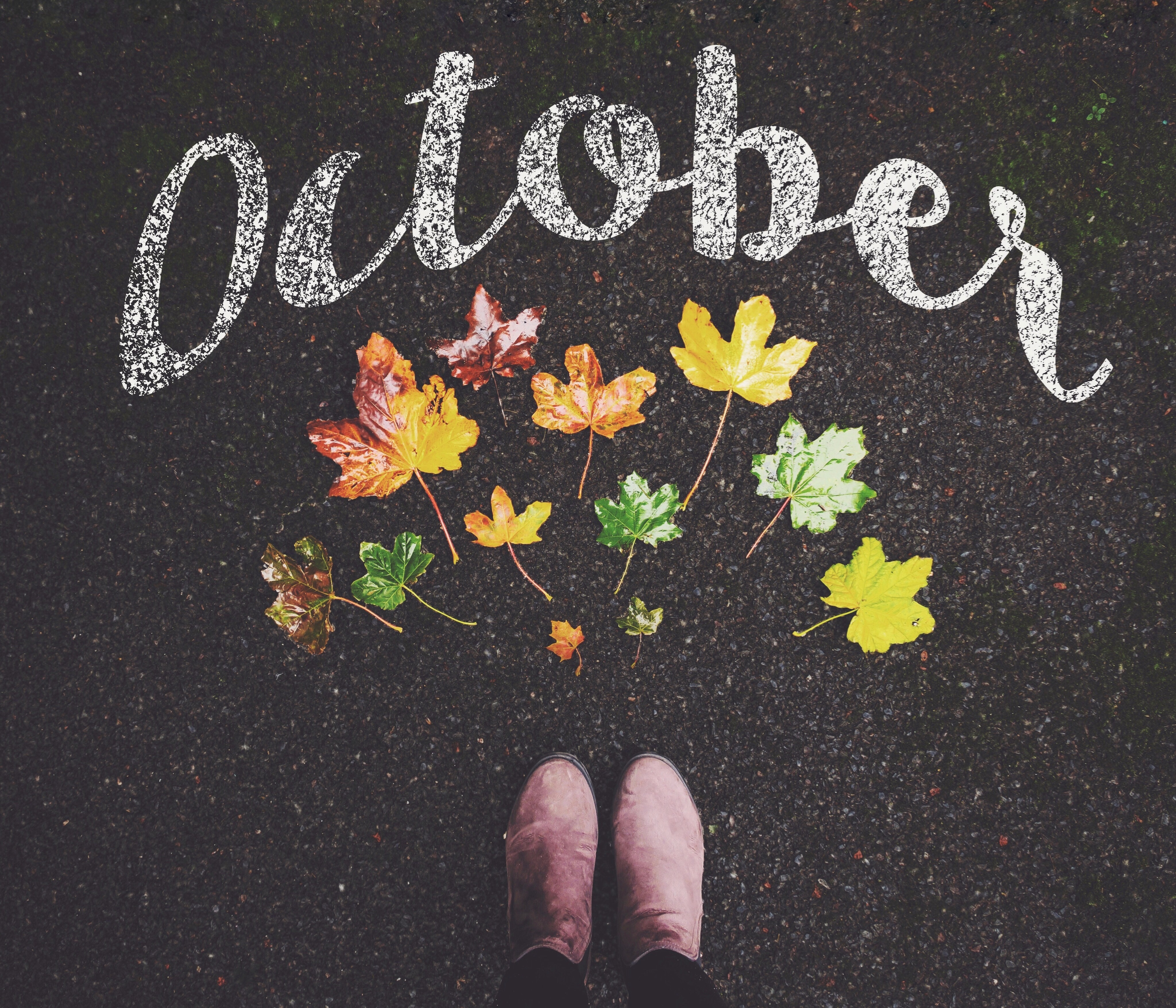 october month with leaves