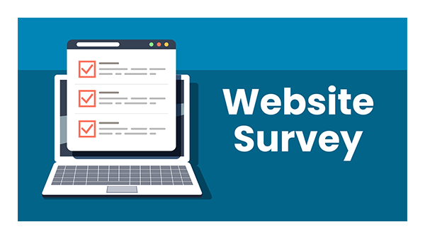 ‘Website Survey’
