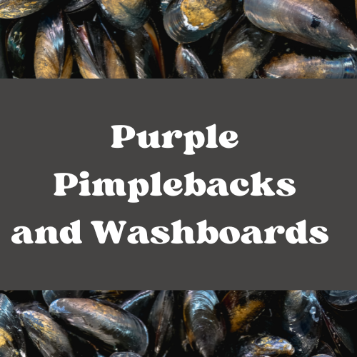 Purple Pimplebacks & Washboards