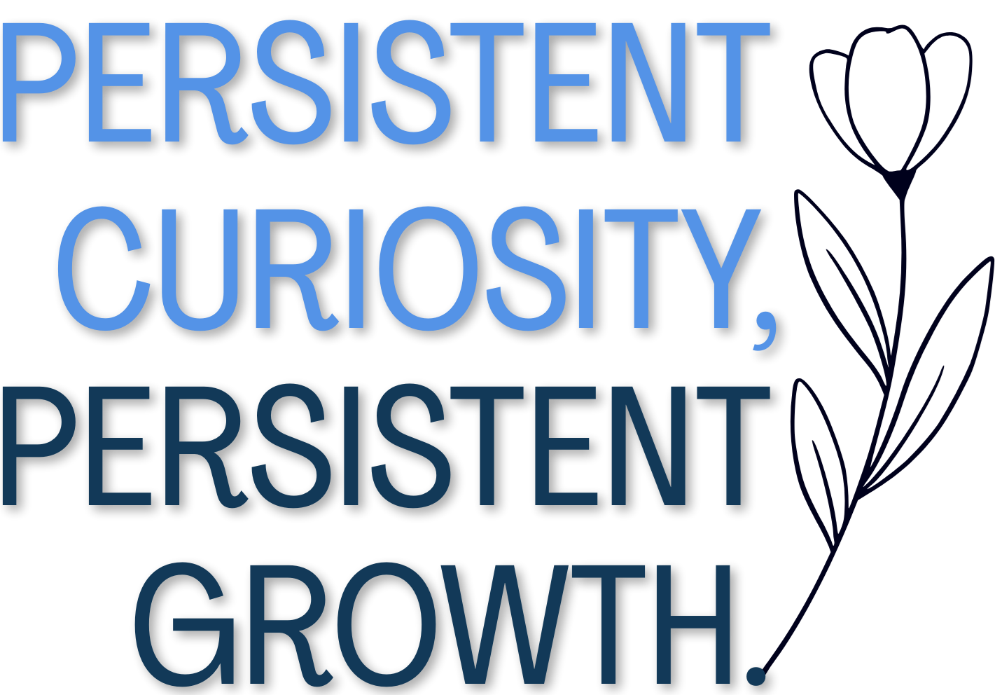 Persistent Curiosity, Persistent Growth
