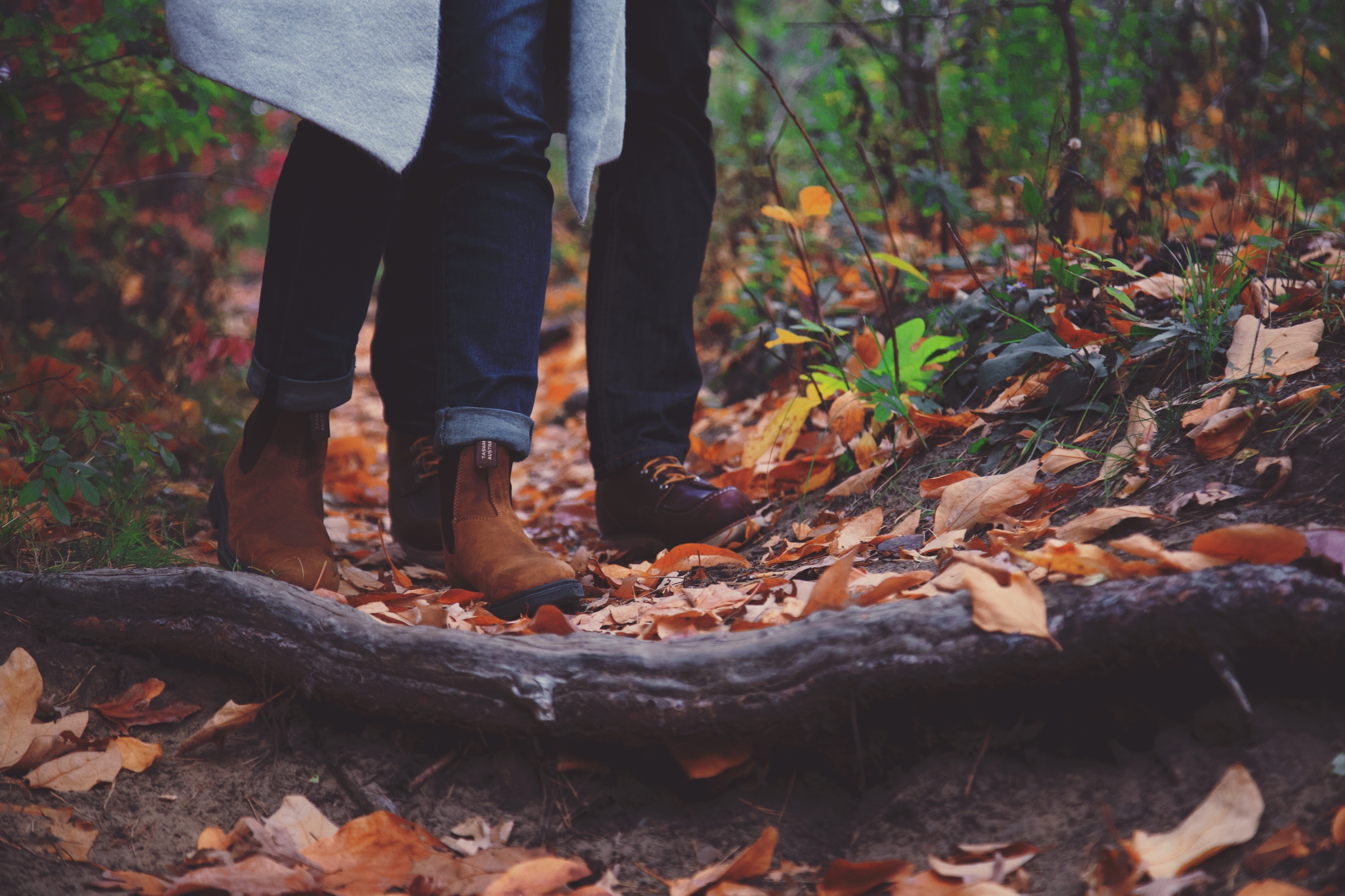 Walking In Forest