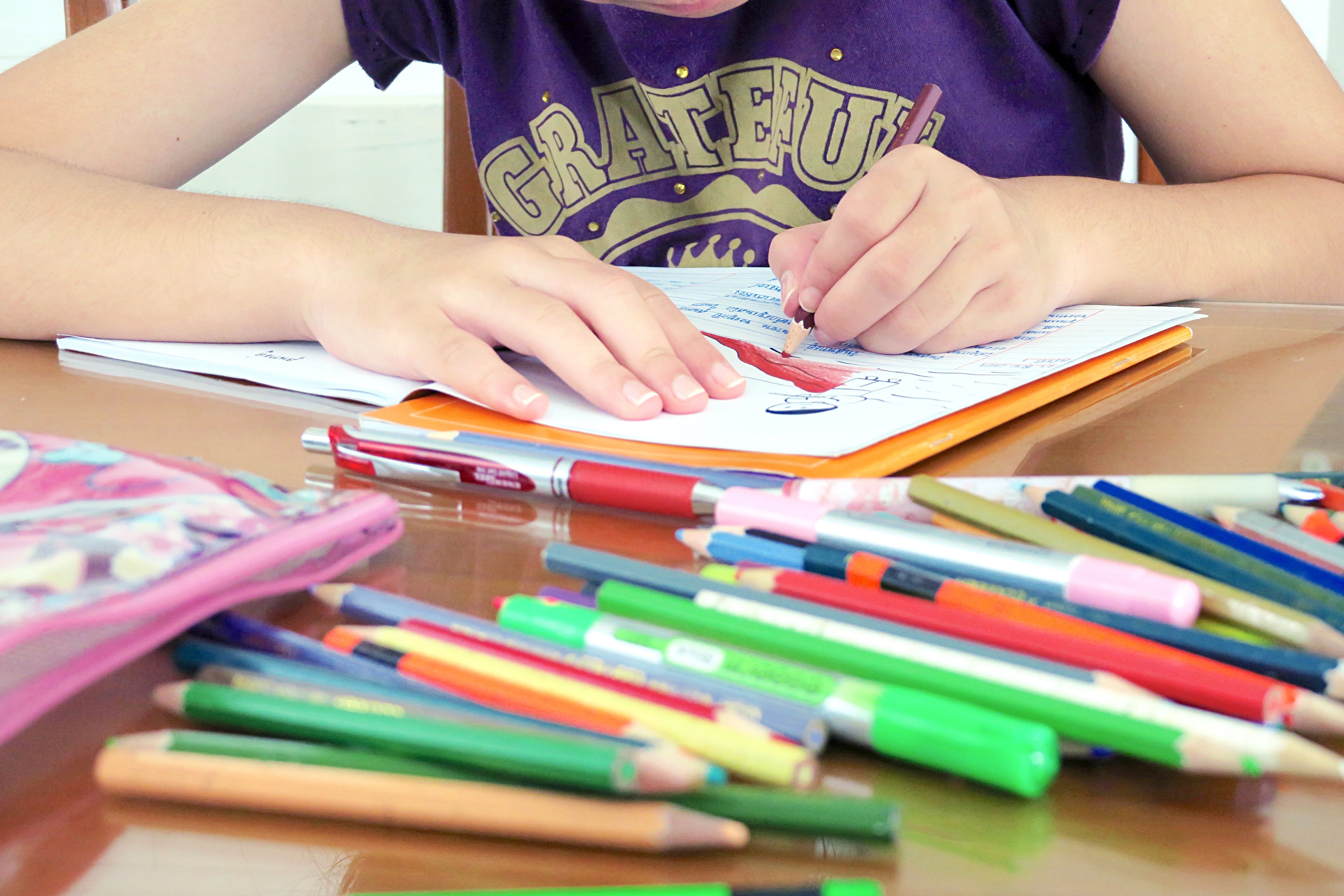 Child Doing Schoolwork at Home