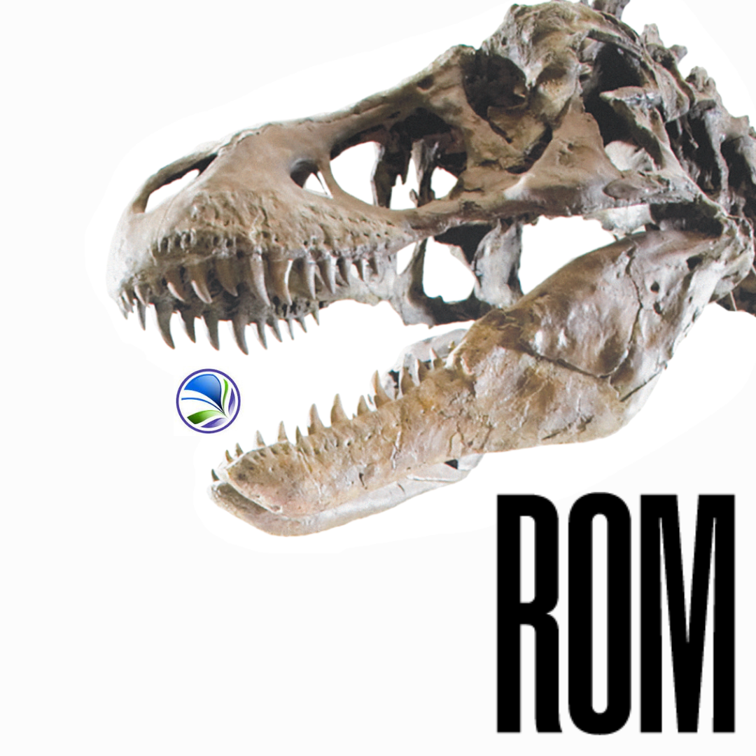 ROM Pass