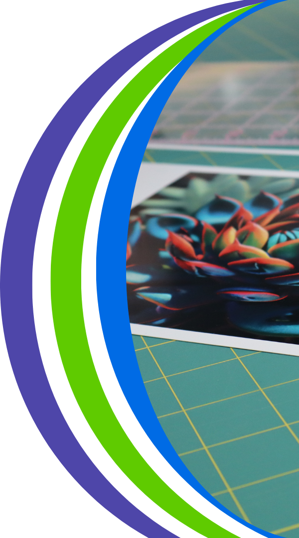 Colourful floral photo on top of a ruled mat. 