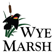 Wye Marsh