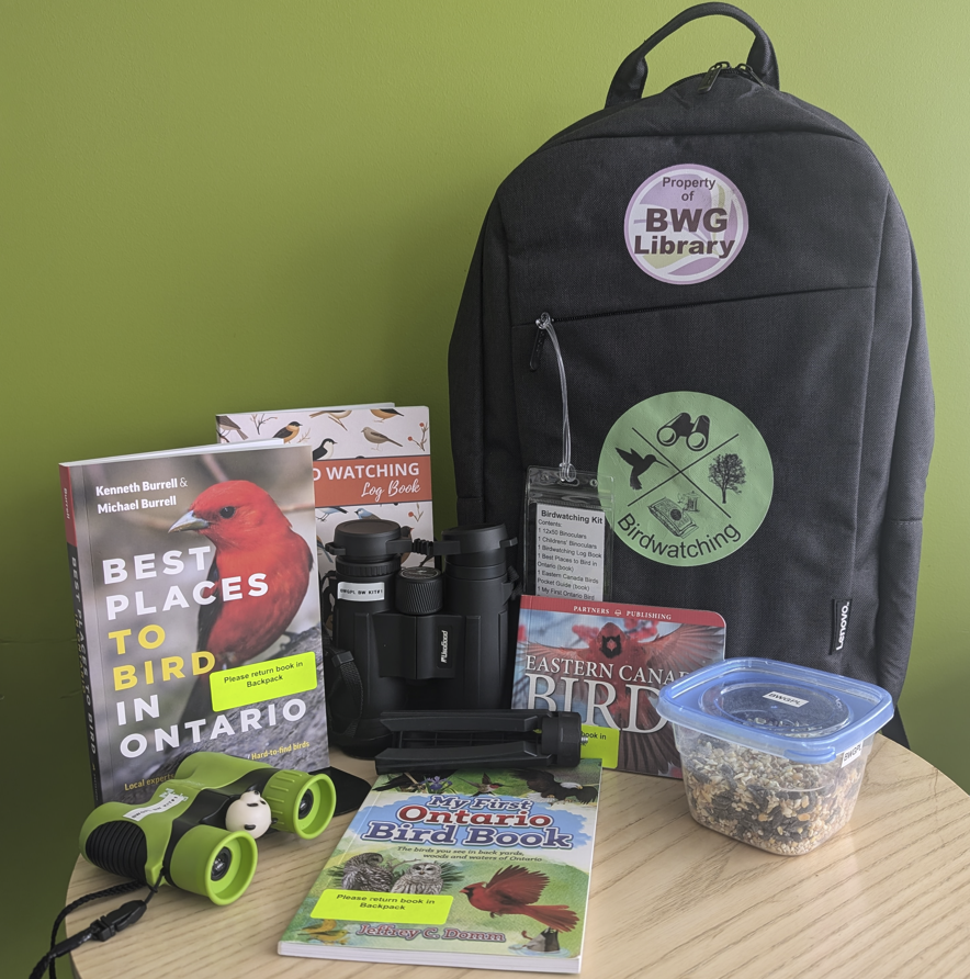 Birdwatching Kit: books, binoculars, feed, backpack