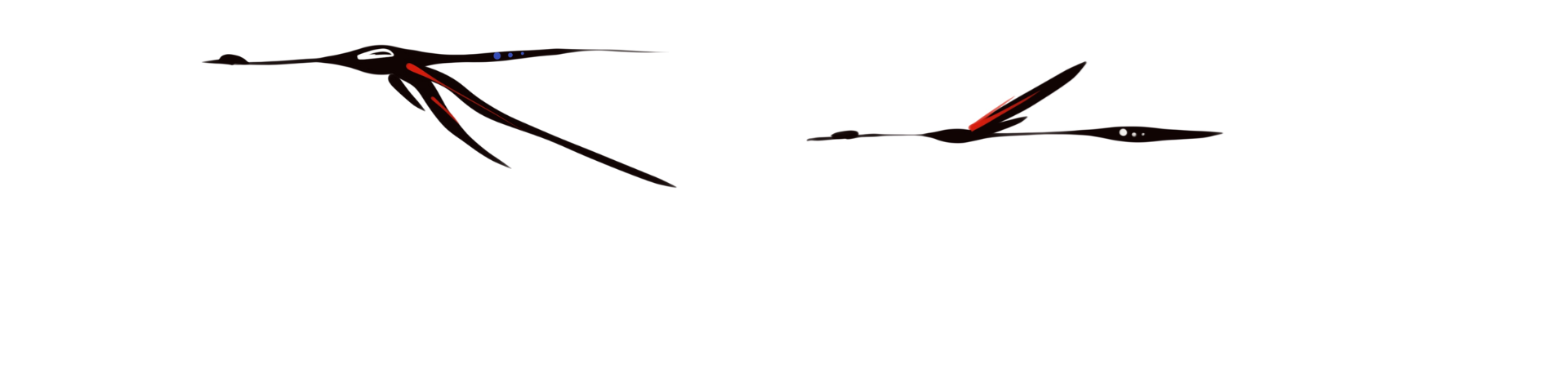Geese represented through indigenous art. 