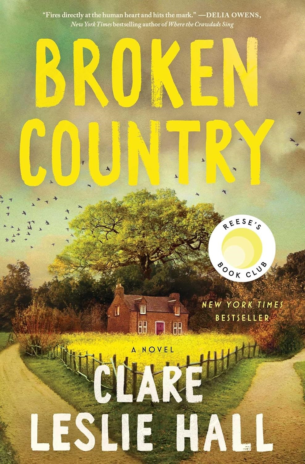 Broken Country A Novel by Clare Leslie Hall