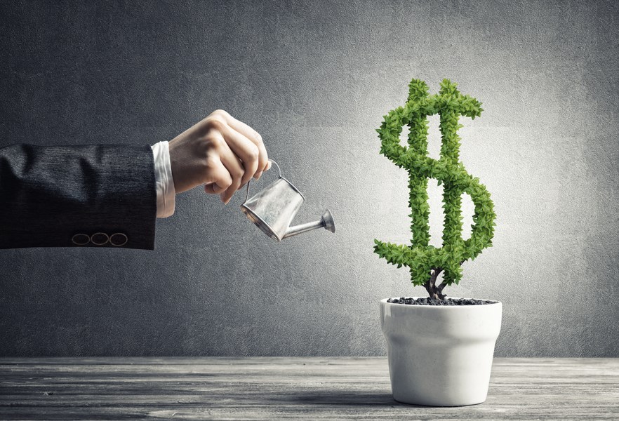 A hand watering a dollar sign shaped plant with a watering can
